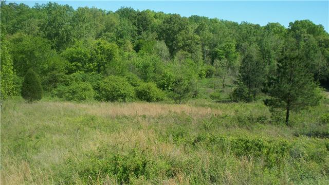 48 Mt Lebanon Road Lawrenceburg, TN 38464 - Photo 8 of 10 a view of a lush green space