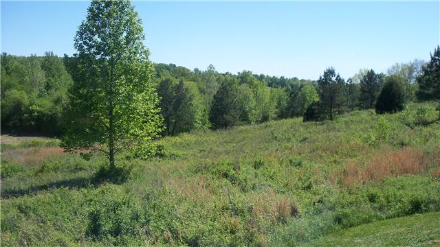 48 Mt Lebanon Road Lawrenceburg, TN 38464 - Photo 9 of 10 a view of a lush green forest with lots of trees