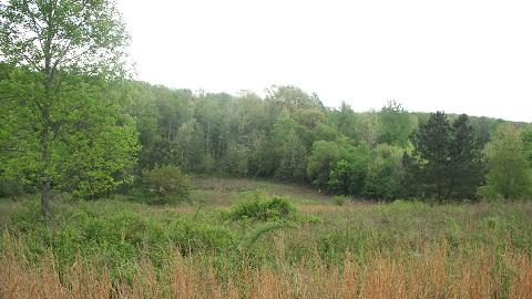 48 Mt Lebanon Road Lawrenceburg, TN 38464 - Photo 10 of 10 a view of a lush green forest with trees in the background