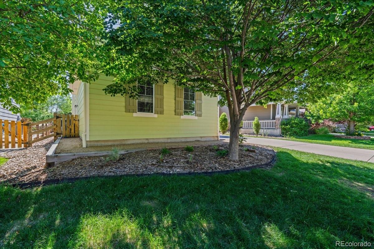 1139 Mircos Street Erie, CO 80516 - Photo 36 of 45