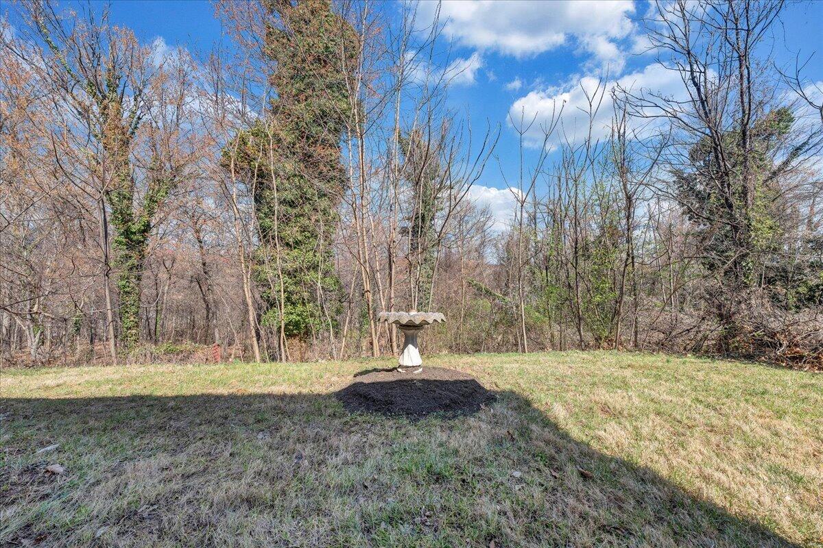 1707 Glendon Road Salem, VA 24153 - Photo 37 of 41 a view of outdoor space with trees