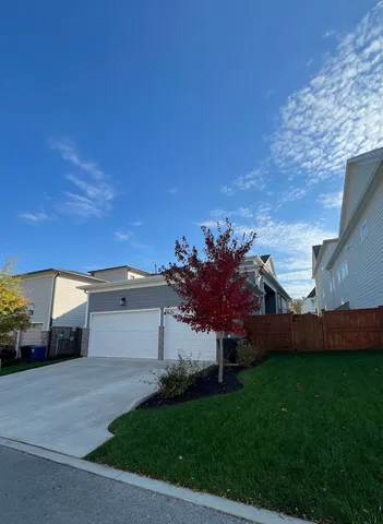 a view of a yard with car parked