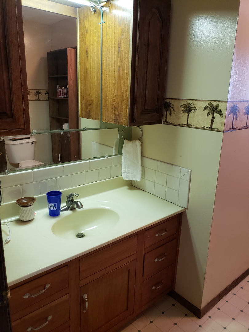 22477 Star Road Tampico, IL 61283 - Photo 11 of 20