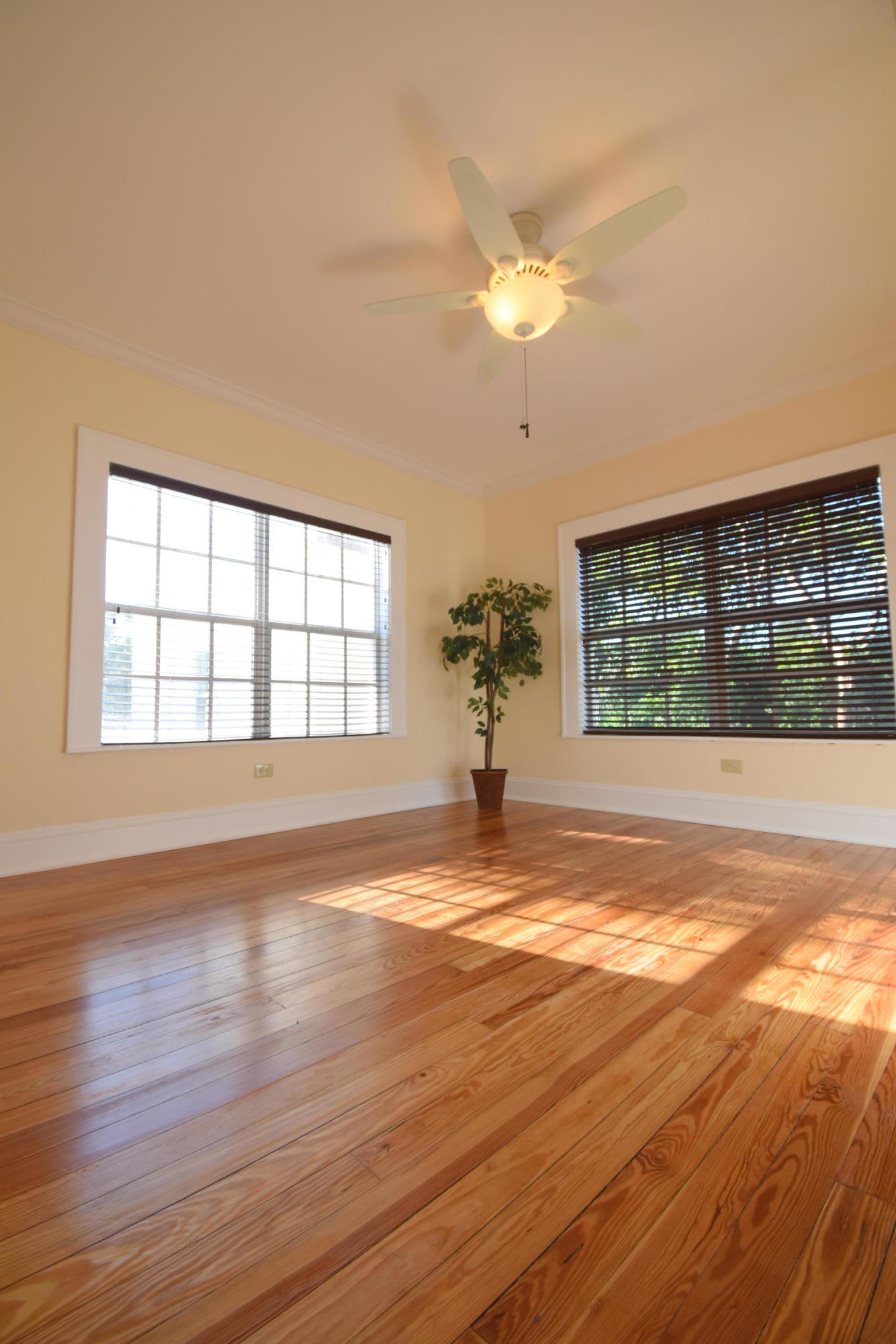 900 El Rado Street Coral Gables, FL 33134 - Photo 23 of 50 DSC_0592