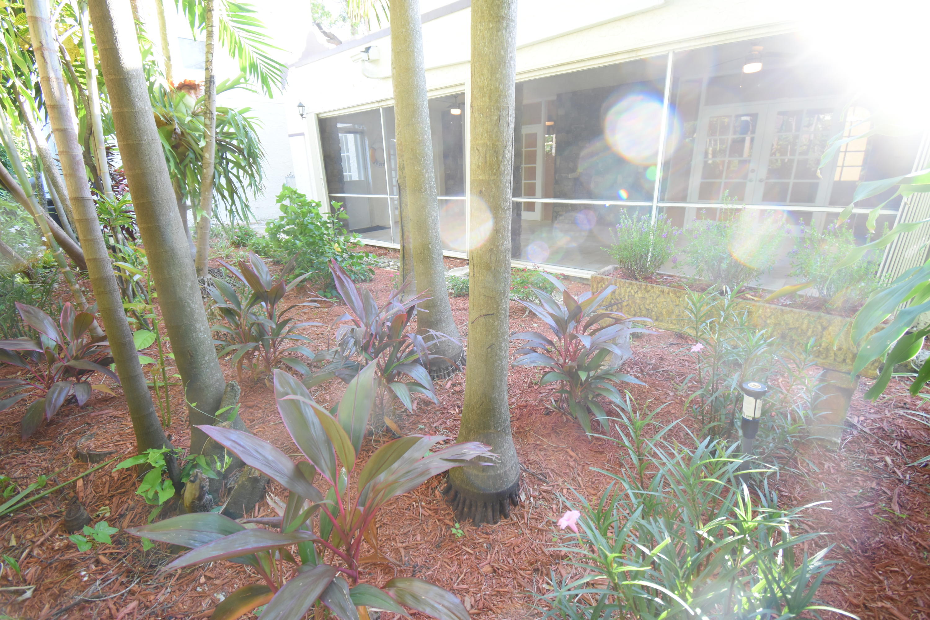 900 El Rado Street Coral Gables, FL 33134 - Photo 50 of 50 DSC_0684