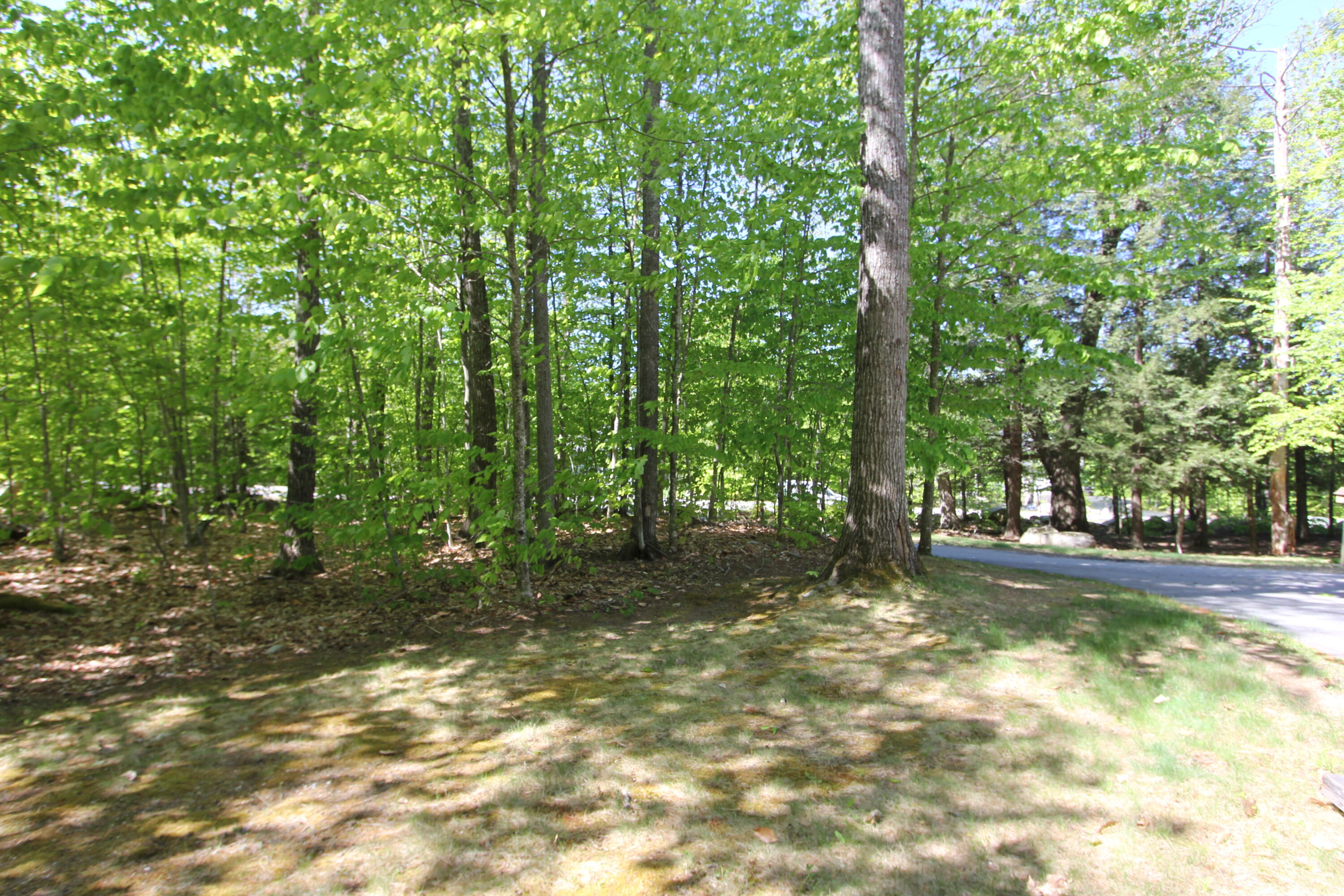 50 Chestnut Heights Road Gray, ME 04039 - Photo 49 of 79 IMG_0002