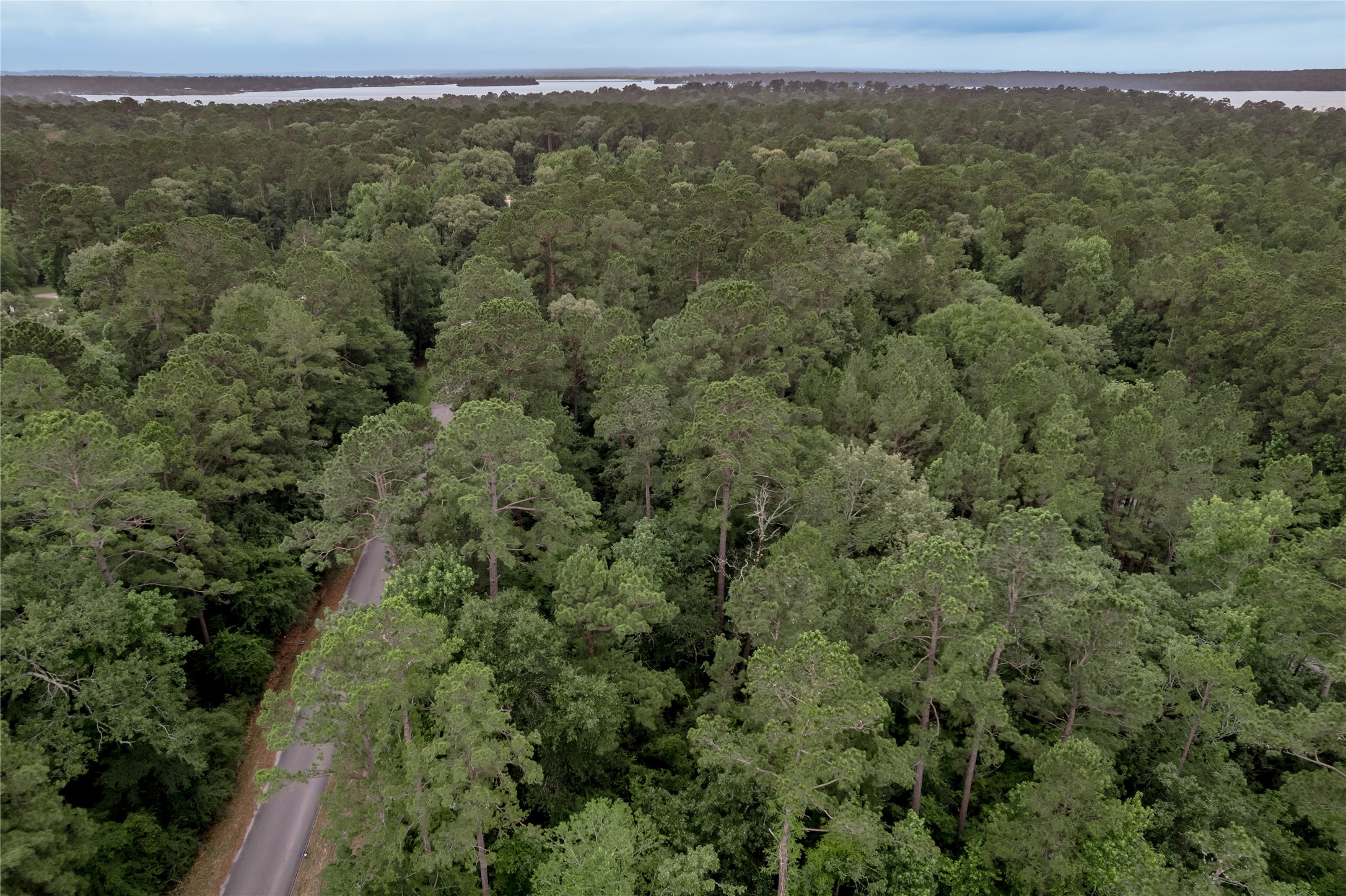 Lot 07 Oak Drive Trinity, TX 75862 - Photo 33 of 36
