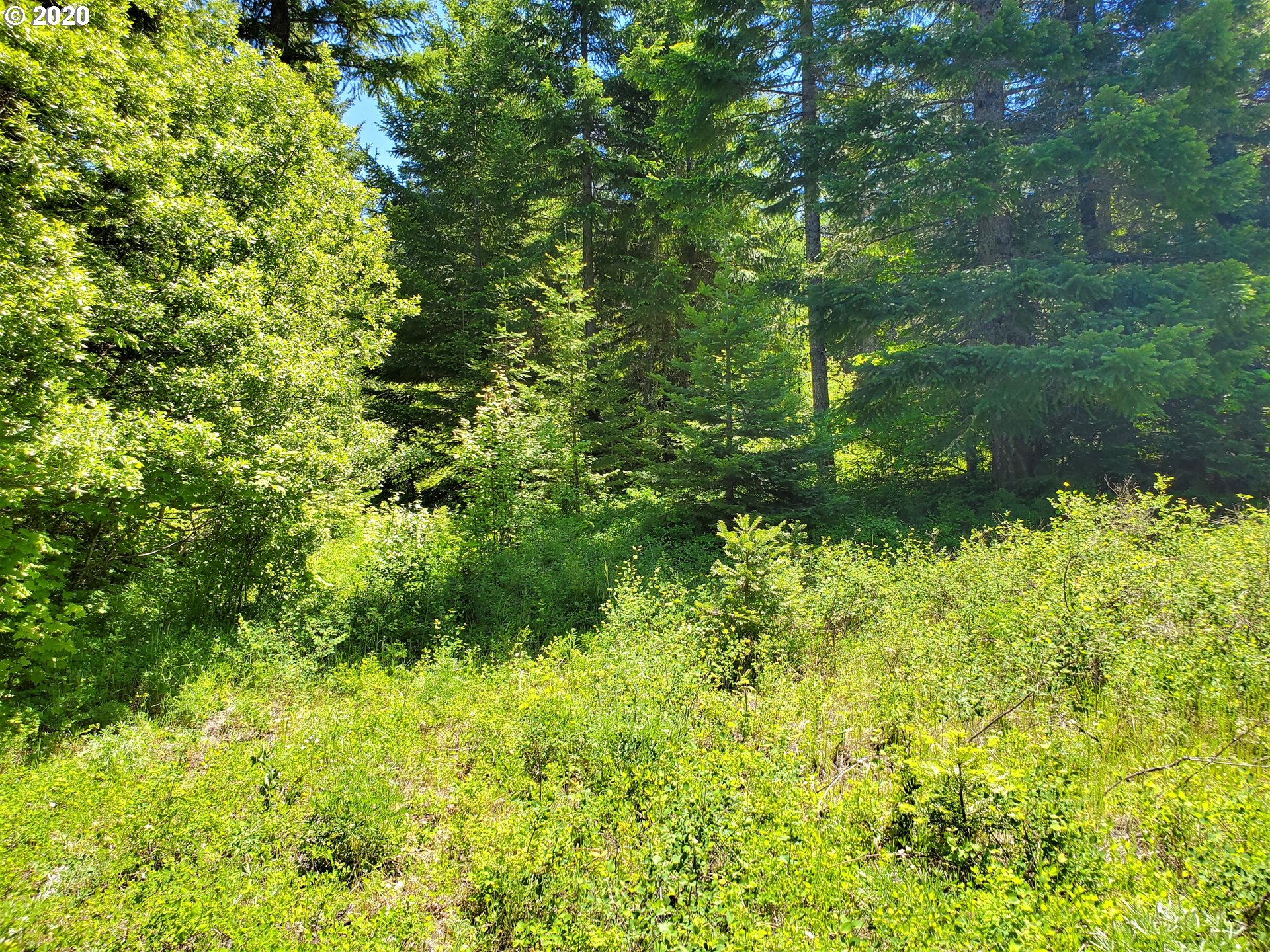 Frontier Road, Unit 18 Appleton, WA 98602 - Photo 14 of 19 Gallery Image 14