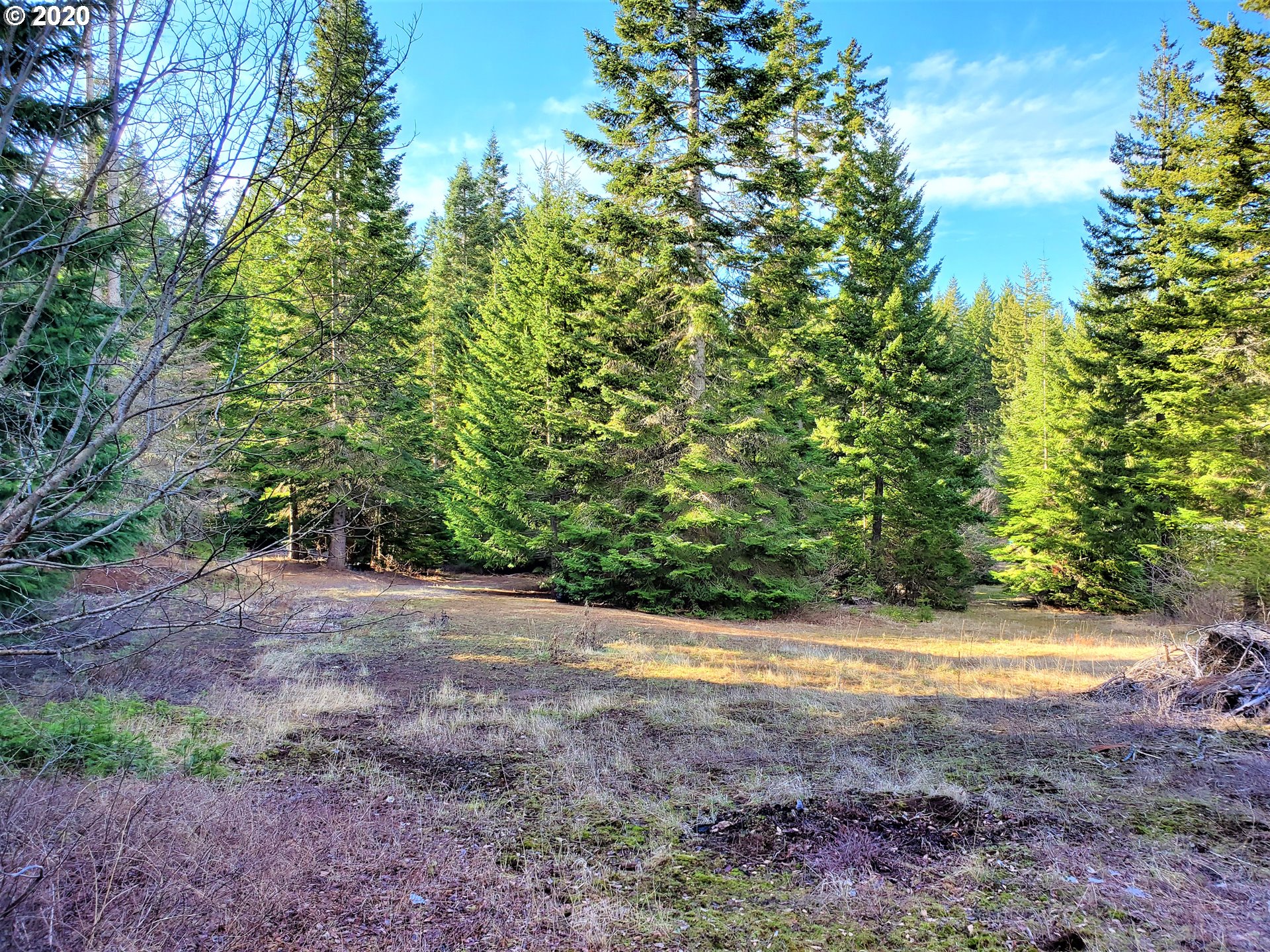 Frontier Road, Unit 18 Appleton, WA 98602 - Photo 3 of 19 Gallery Image 3