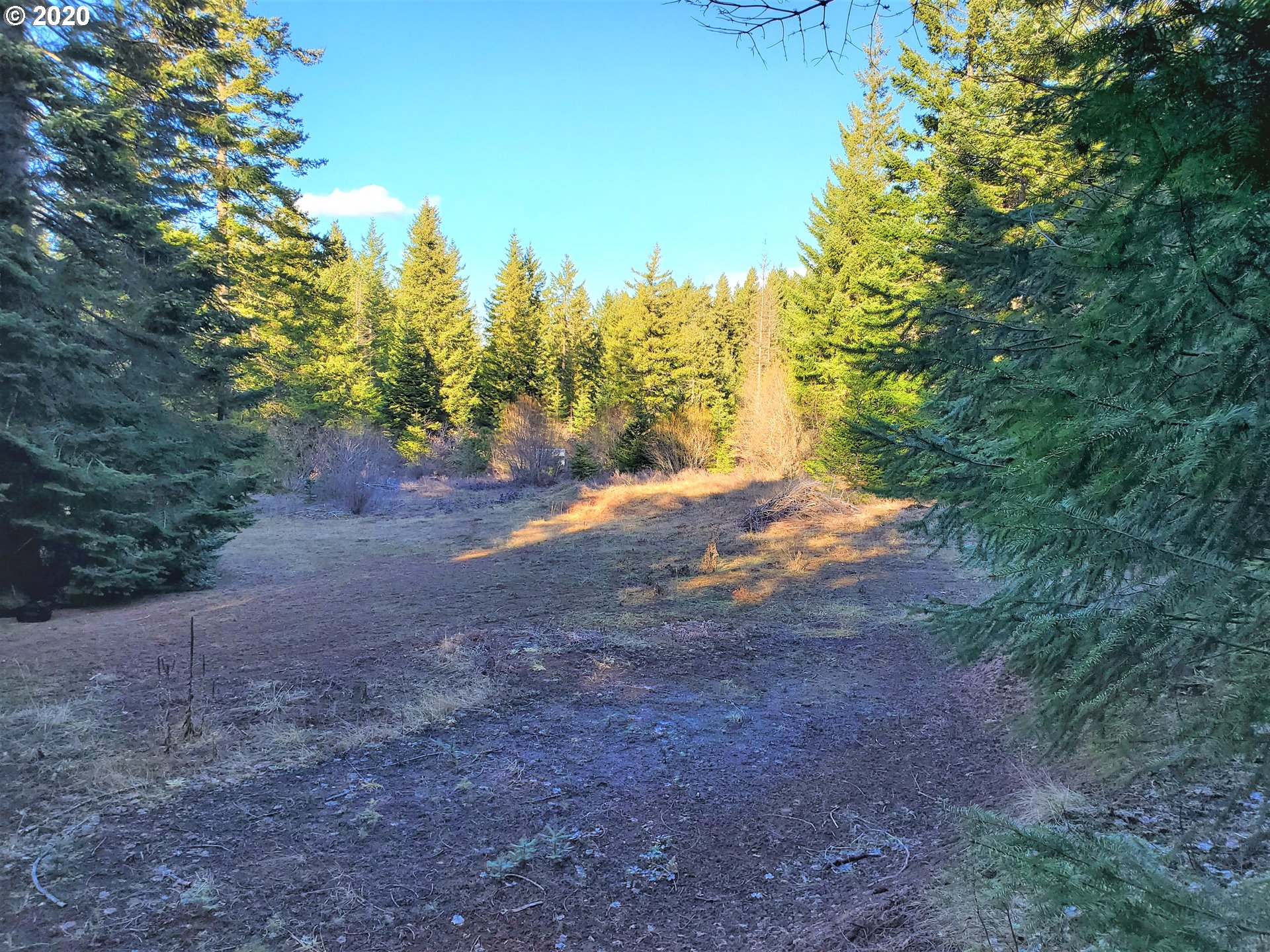 Frontier Road, Unit 18 Appleton, WA 98602 - Photo 6 of 19 Gallery Image 6