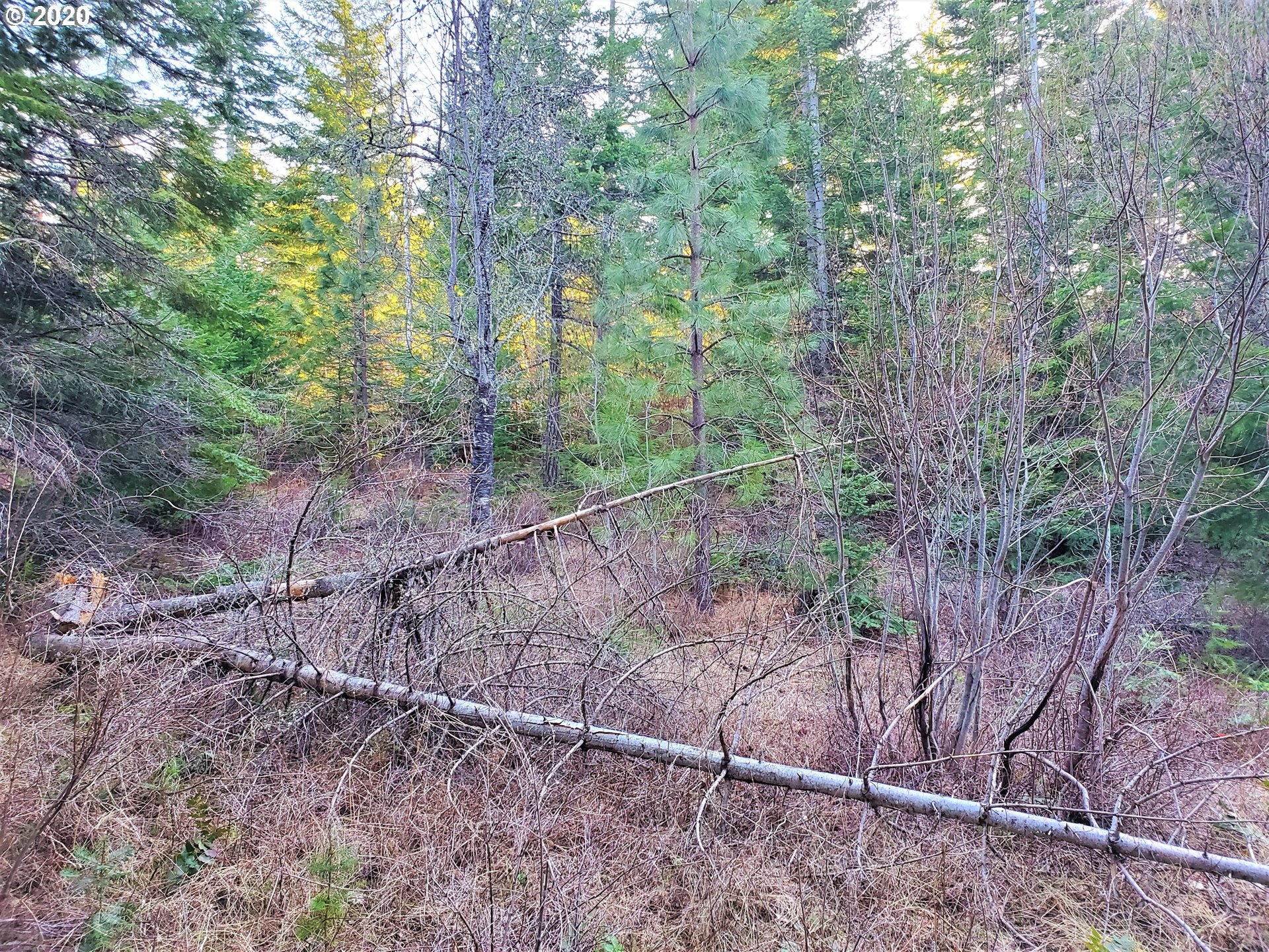 Frontier Road, Unit 18 Appleton, WA 98602 - Photo 7 of 19 Gallery Image 7