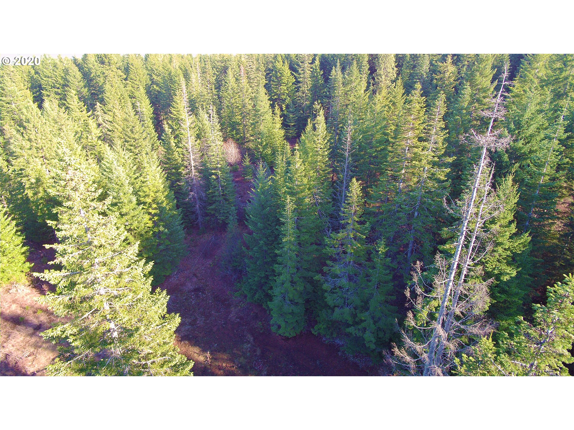 Frontier Road, Unit 18 Appleton, WA 98602 - Photo 8 of 19 Gallery Image 8