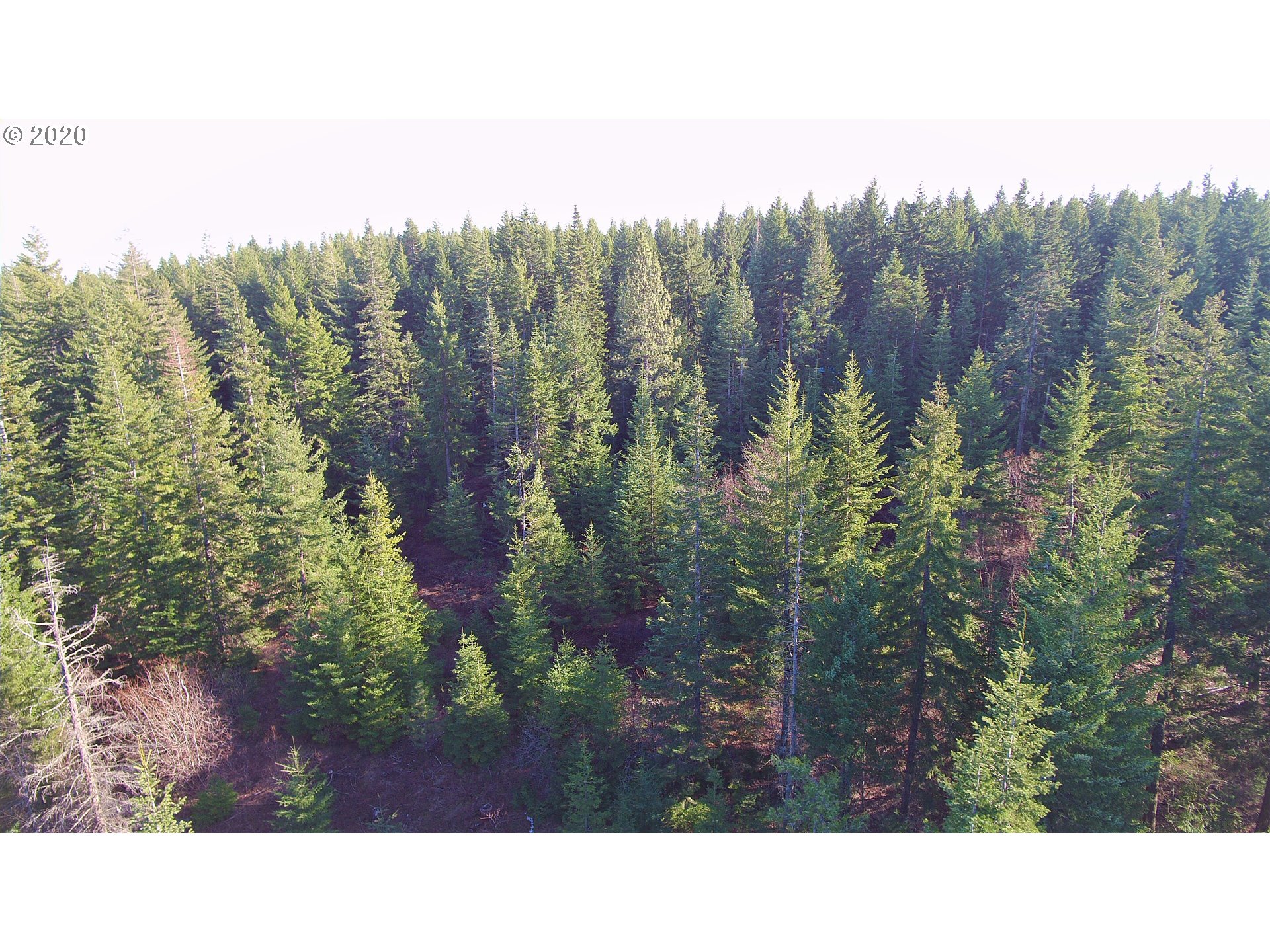 Frontier Road, Unit 18 Appleton, WA 98602 - Photo 10 of 19 Gallery Image 10