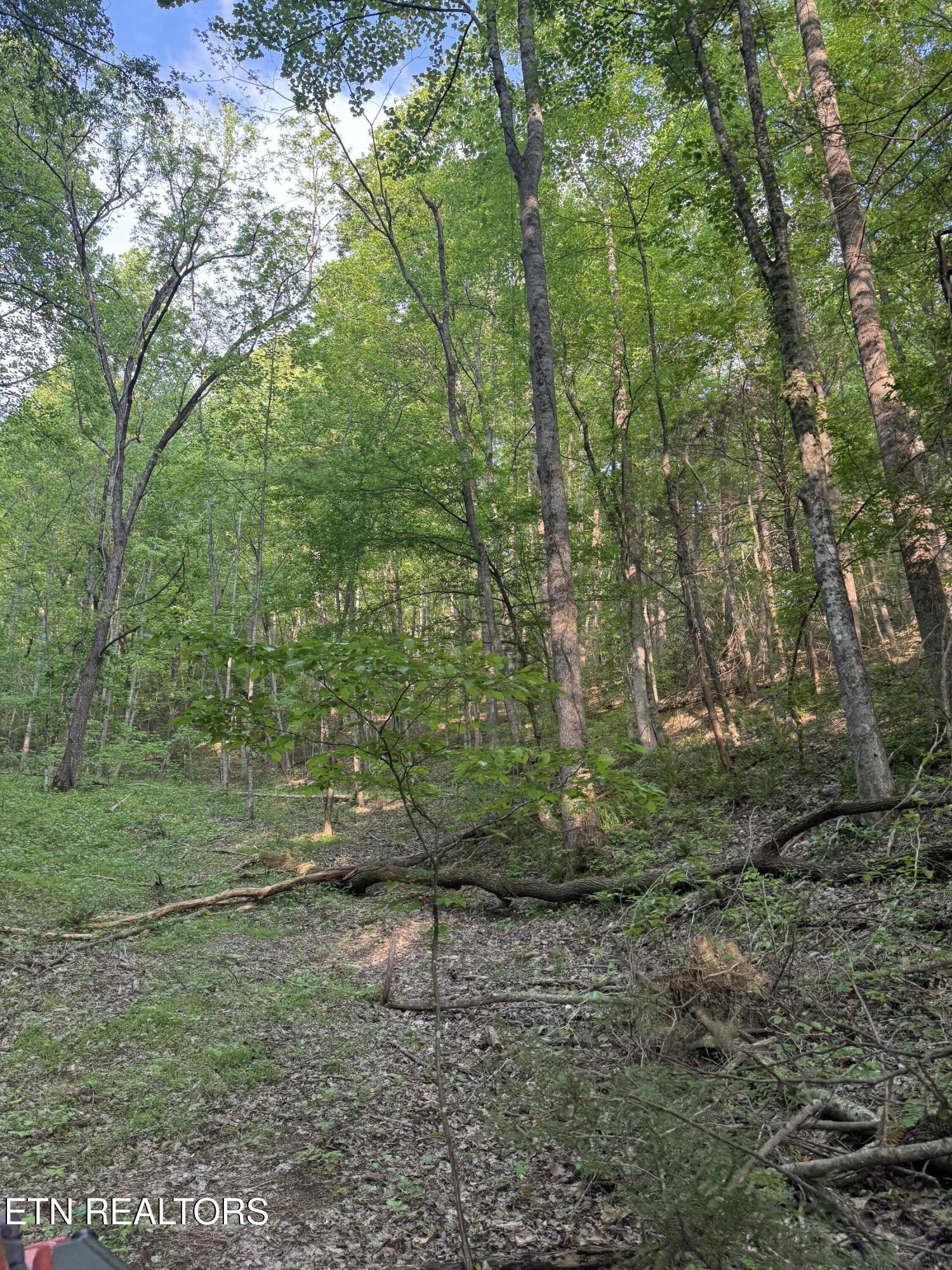 332 Padgett Mill Road Cosby, TN 37722 - Photo 31 of 41 IMG_8420