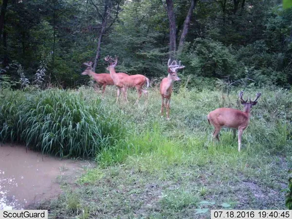 $339,900 | Undisclosed Address, Gleason, WI 54435
