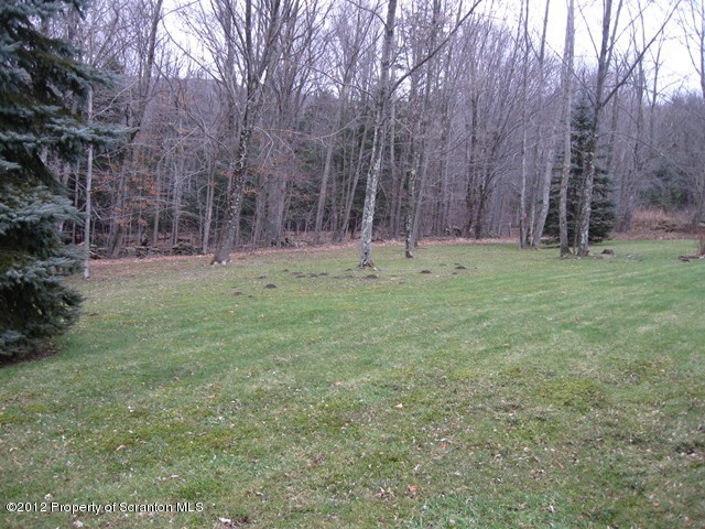 496 Helens Road Union Dale, PA 18470 - Photo 6 of 22 Gallery Image 6