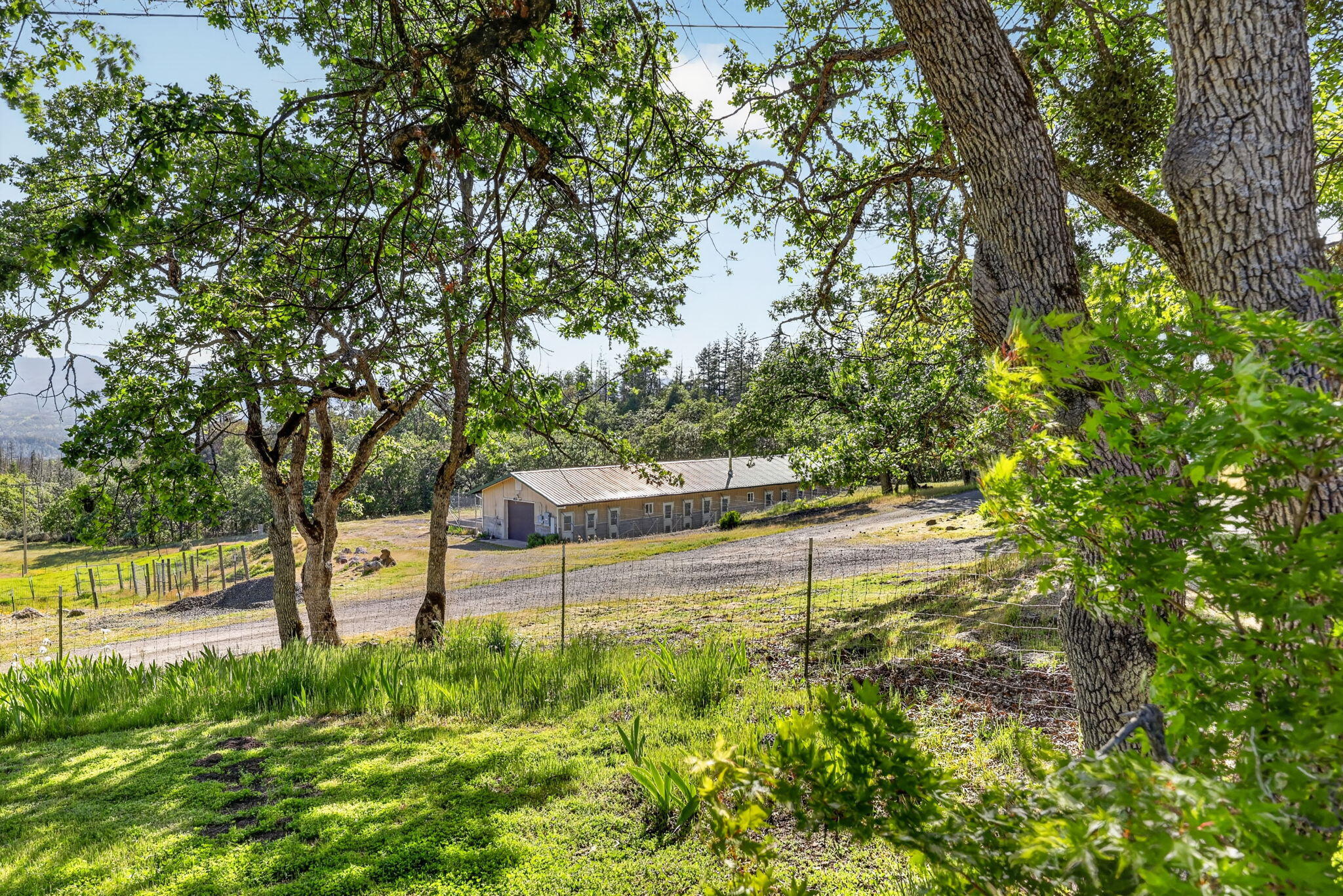 2444 Gardner Road Eagle Point, OR 97524 - Photo 7 of 81 Gardner (7)