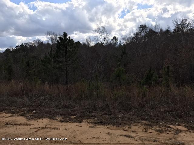 Freeman Road Fayette, AL 35555 - Photo 3 of 6 Gallery Image 3
