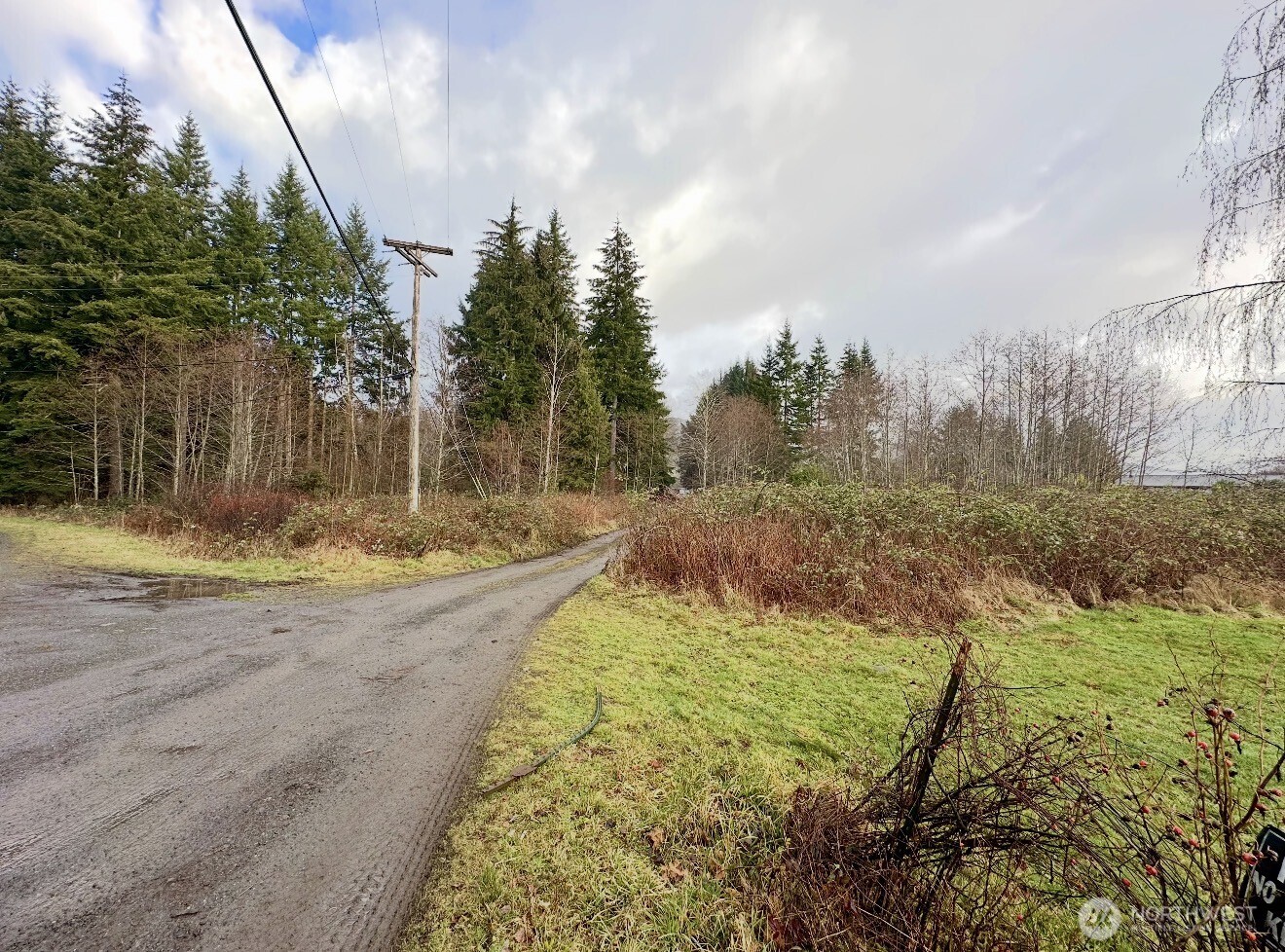 9999 Merchant Road Forks, WA 98331 - Photo 2 of 6 a view of swimming pool with a yard
