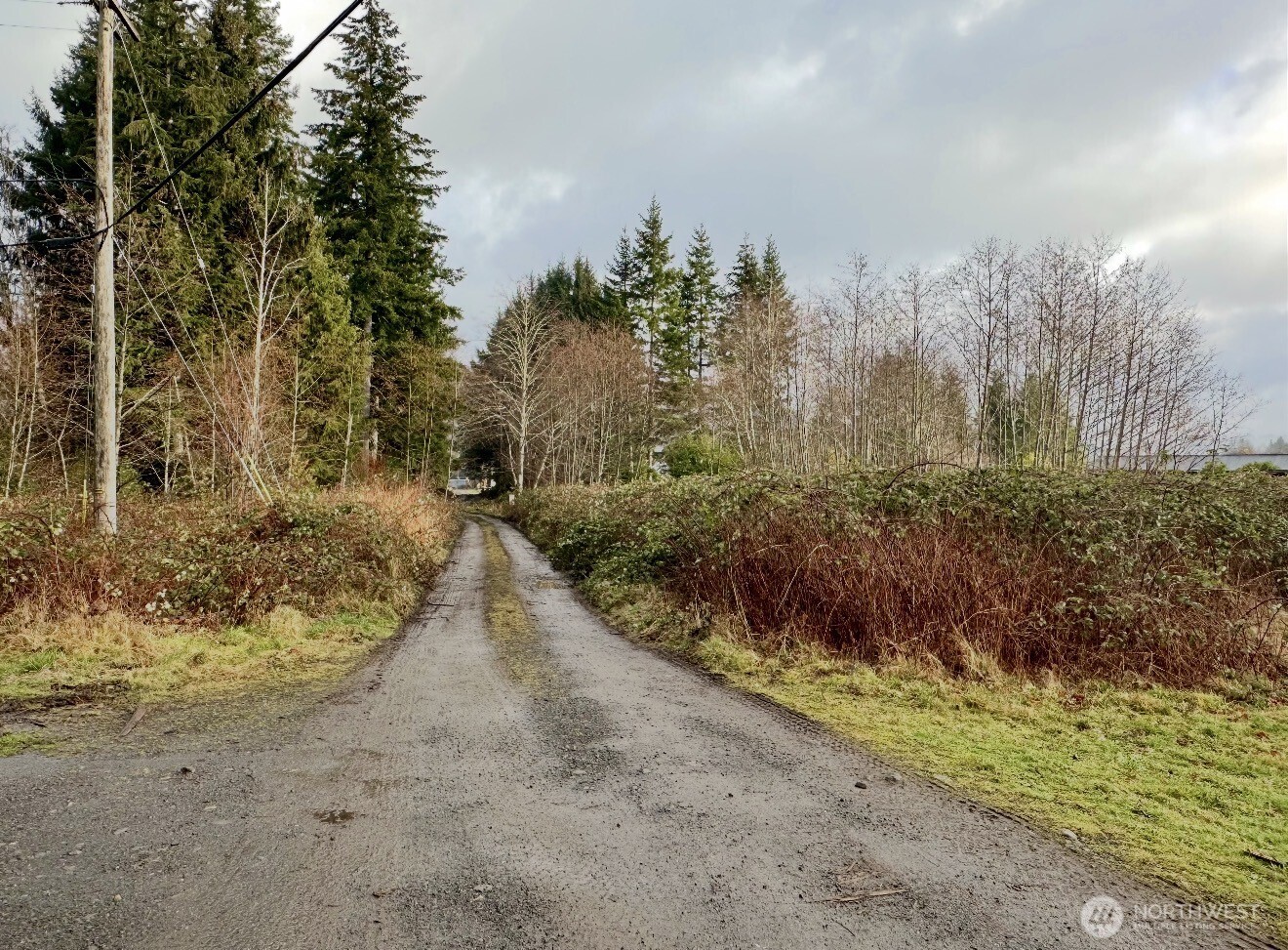 9999 Merchant Road Forks, WA 98331 - Photo 3 of 6 a view of a yard with trees in front of it