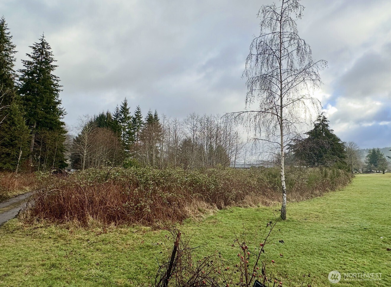 9999 Merchant Road Forks, WA 98331 - Photo 4 of 6 a view of a backyard