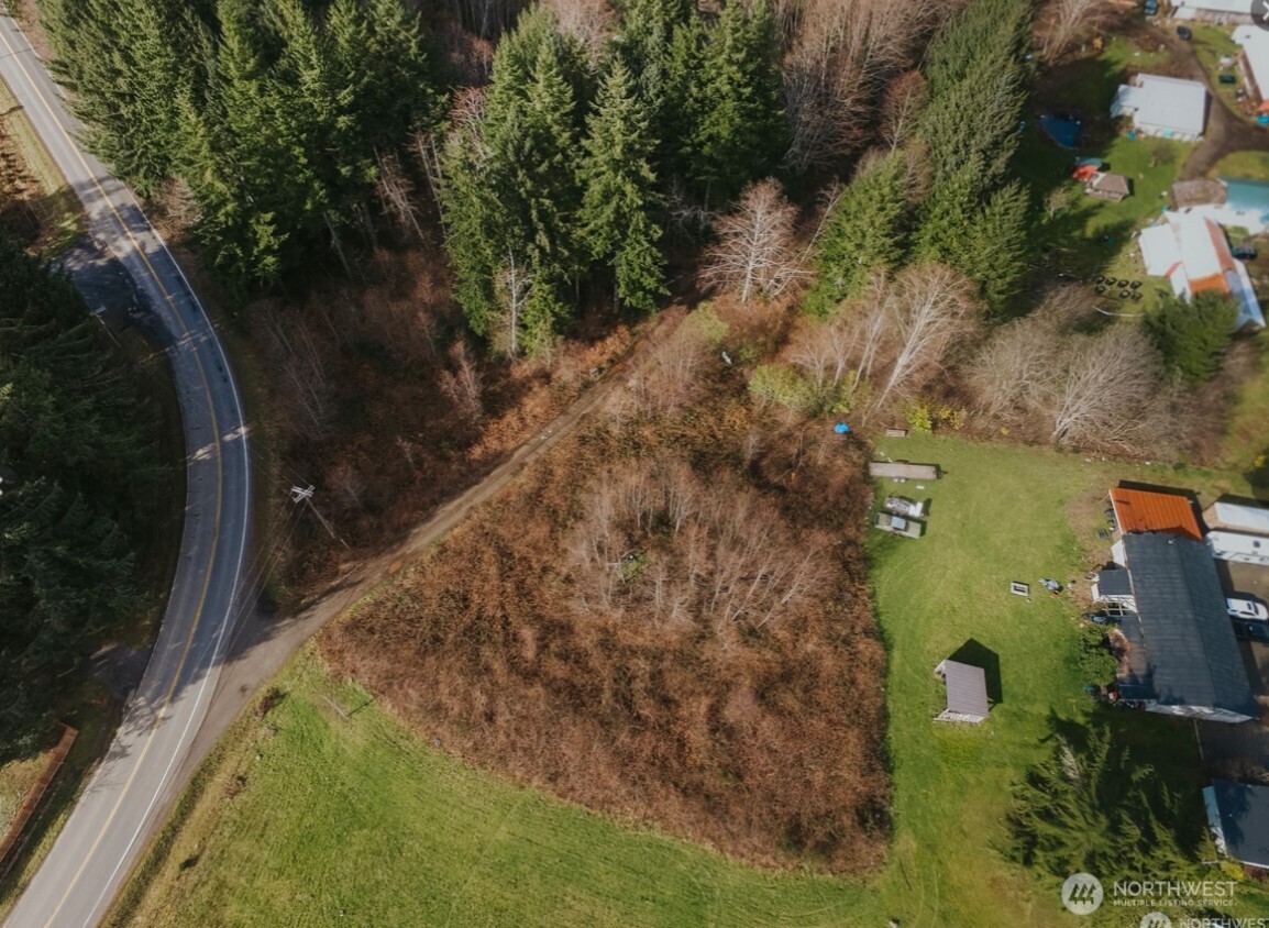 9999 Merchant Road Forks, WA 98331 - Photo 5 of 6 a backyard of a house with large trees