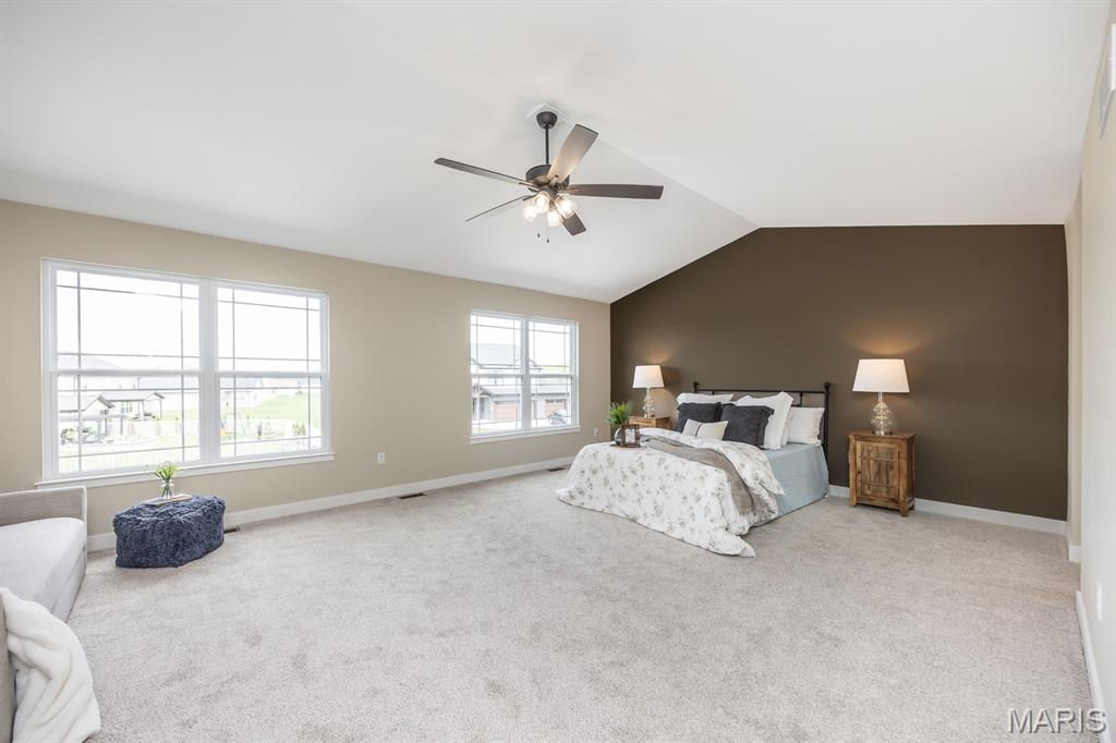 3716 Osprey Court Shiloh, IL 62221 - Photo 19 of 41