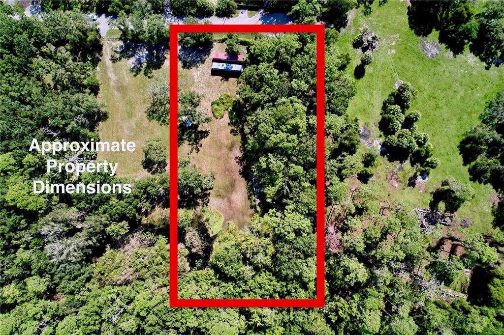 a view of a flower arrangement in a garden