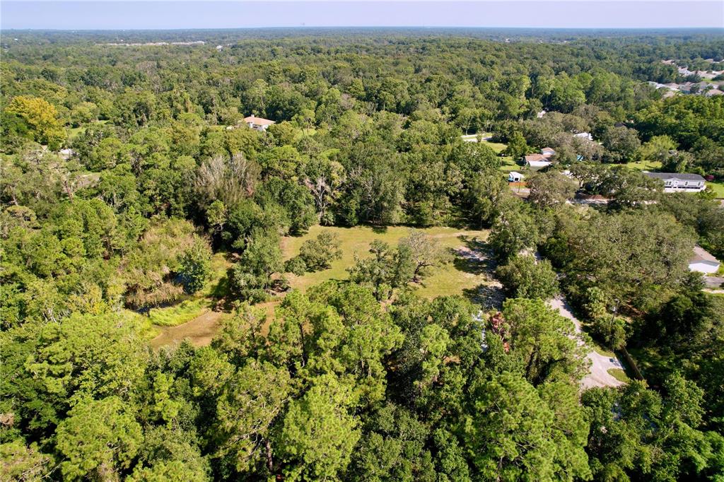11017 Tracey Court New Port Richey, FL 34654 - Photo 11 of 15 a view of a green field