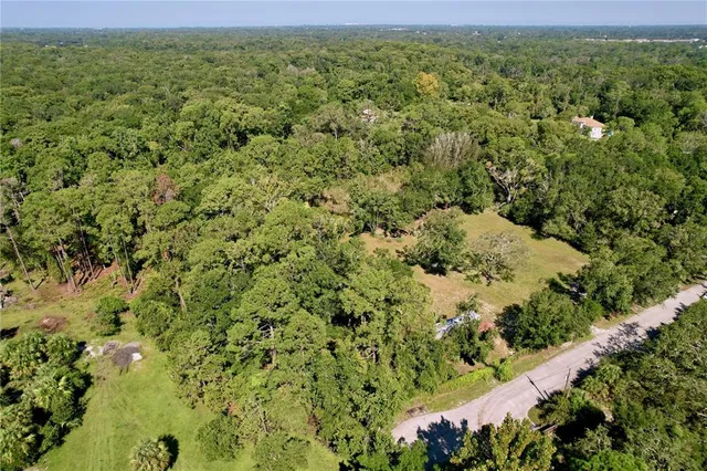 a view of a field with a tree