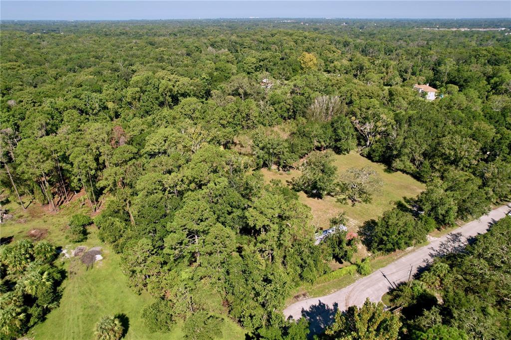 11017 Tracey Court New Port Richey, FL 34654 - Photo 12 of 15 a view of a field with a tree