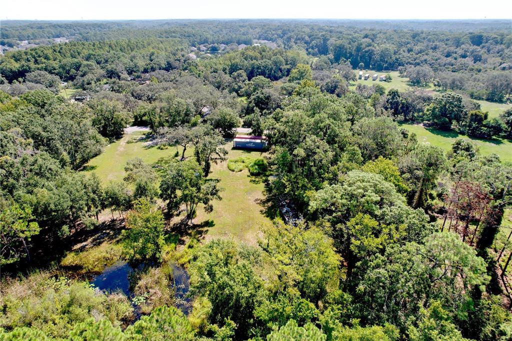 11017 Tracey Court New Port Richey, FL 34654 - Photo 14 of 15 an aerial view of forest with houses
