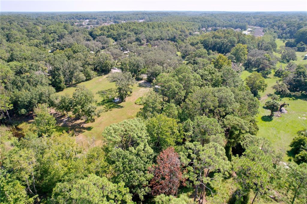 11017 Tracey Court New Port Richey, FL 34654 - Photo 15 of 15 an aerial view of forest
