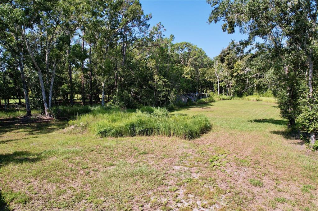 11017 Tracey Court New Port Richey, FL 34654 - Photo 6 of 15 a view of back yard