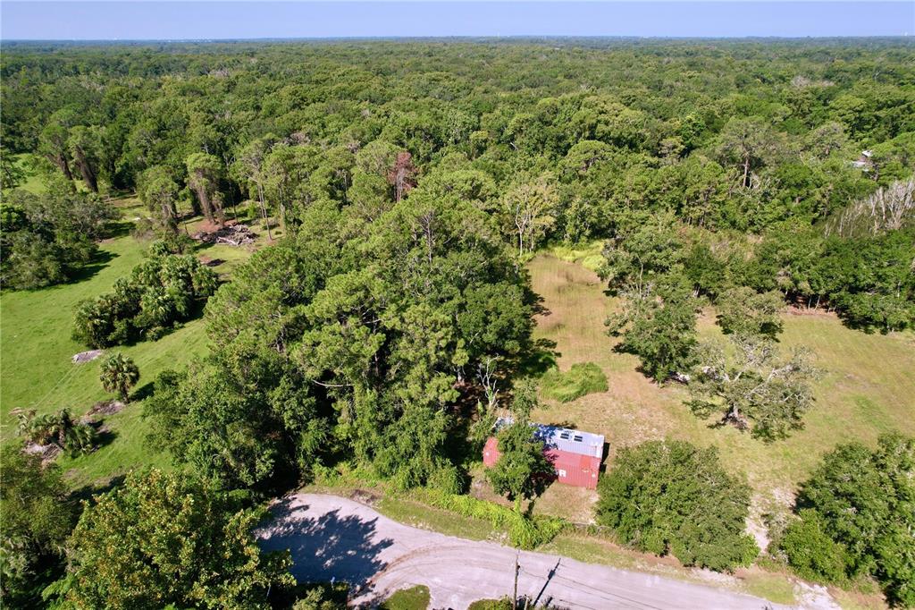 11017 Tracey Court New Port Richey, FL 34654 - Photo 8 of 15 an aerial view of residential houses with outdoor space and trees all around