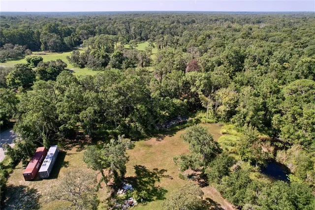 a view of a yard with a tree