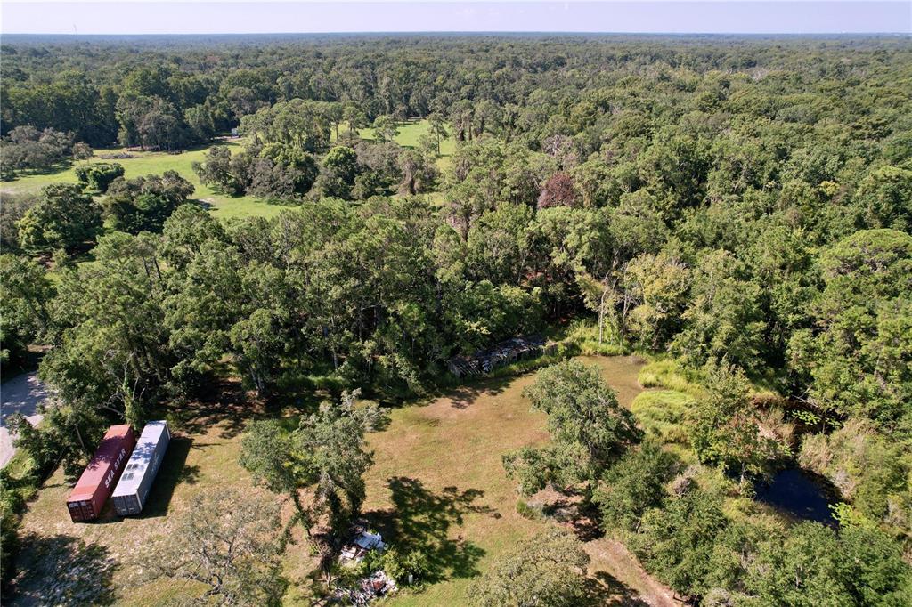 11017 Tracey Court New Port Richey, FL 34654 - Photo 9 of 15 a view of a yard with a tree