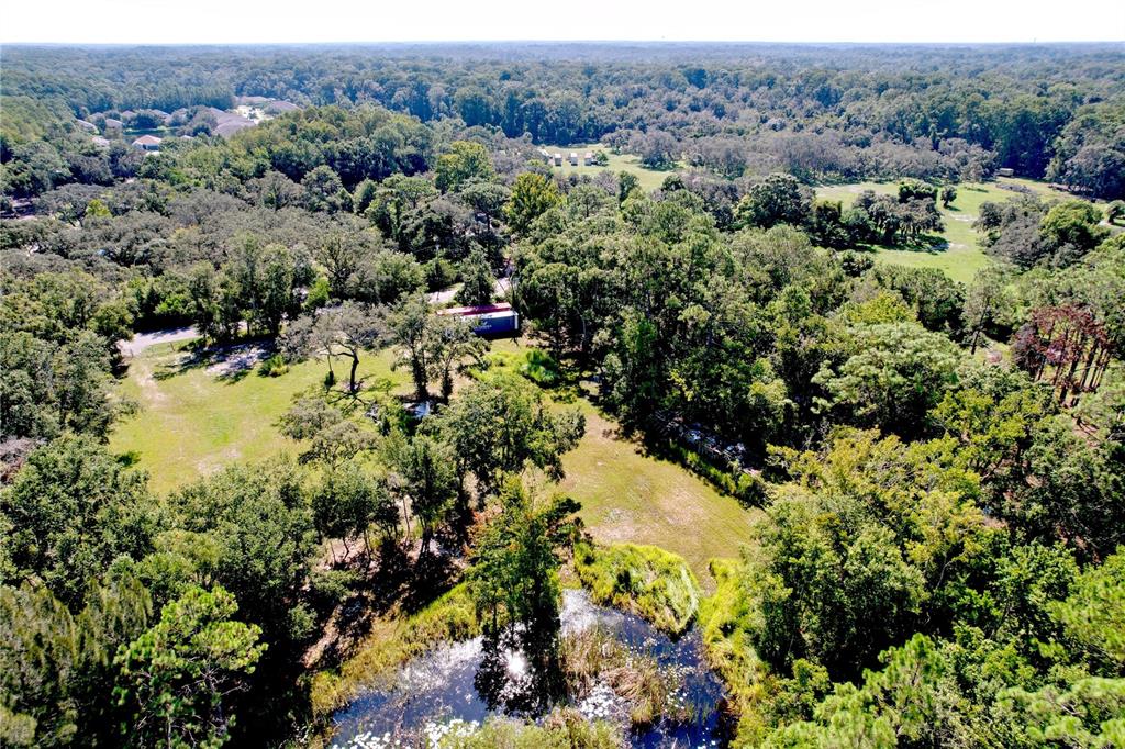 11017 Tracey Court New Port Richey, FL 34654 - Photo 10 of 15 an aerial view of mountain with trees all around