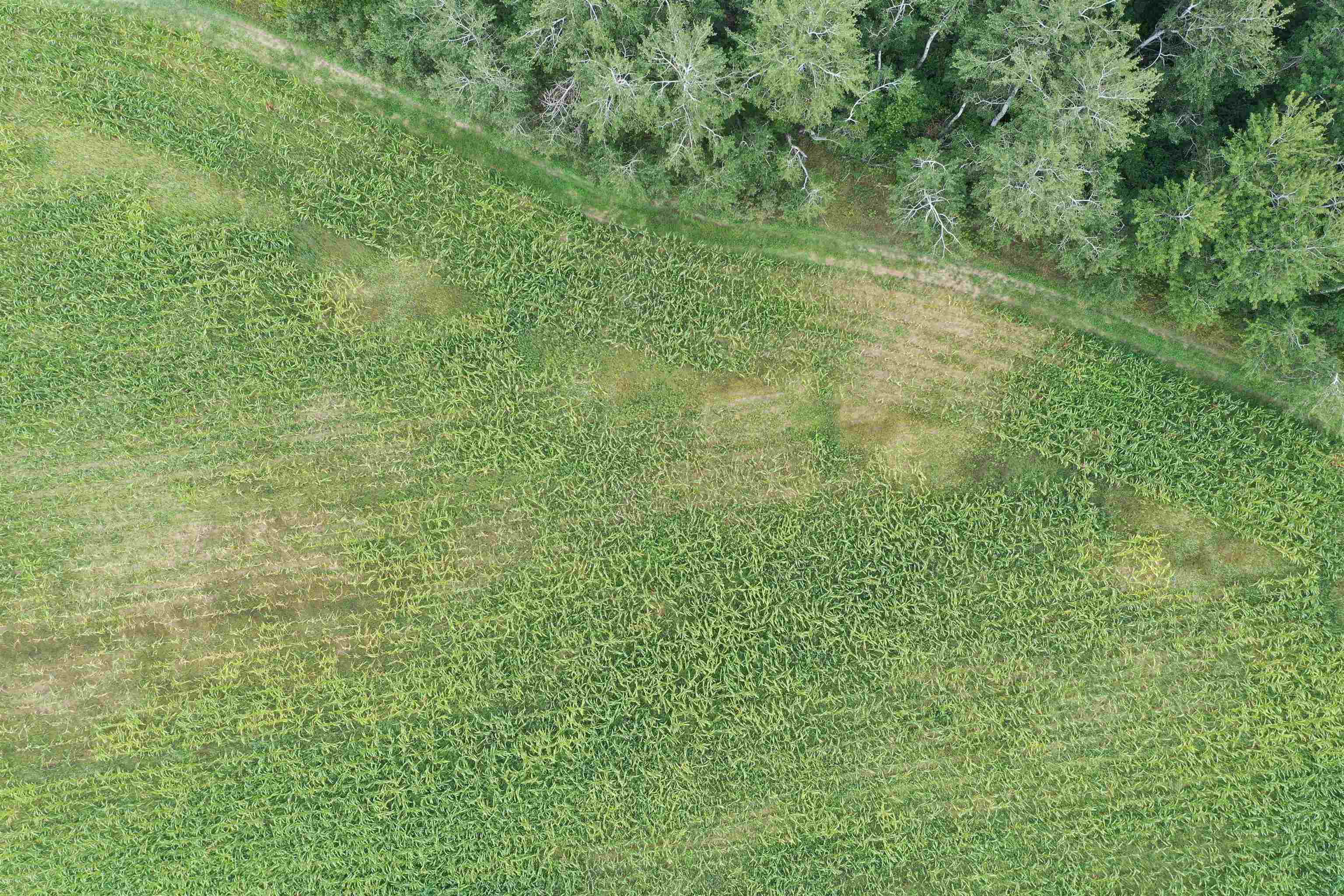 0 Us-31 Street Traverse City, MI 49685 - Photo 64 of 89