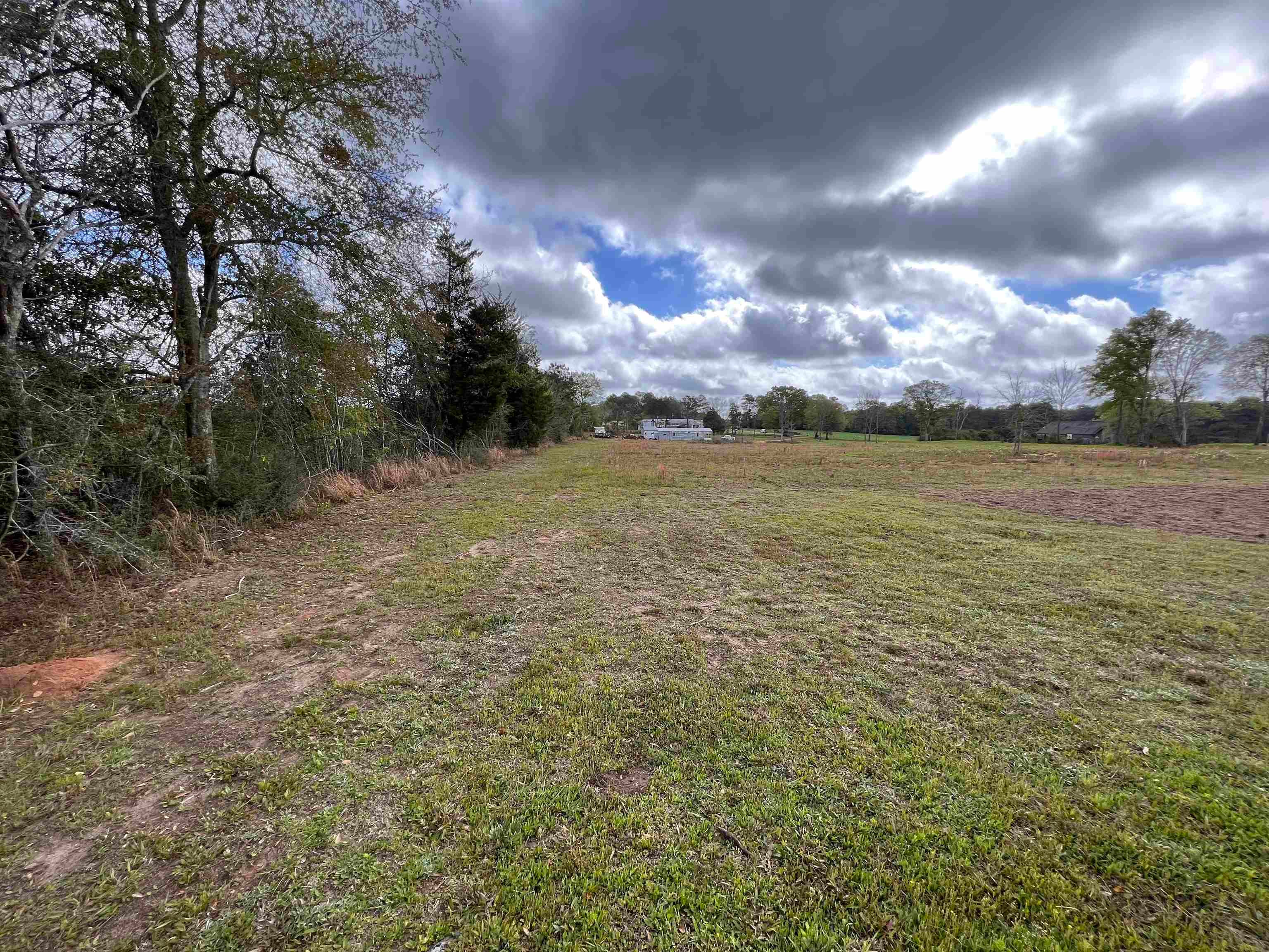 37791 Straughn School Road Dozier, AL 36028 - Photo 17 of 18 Gallery Image 17
