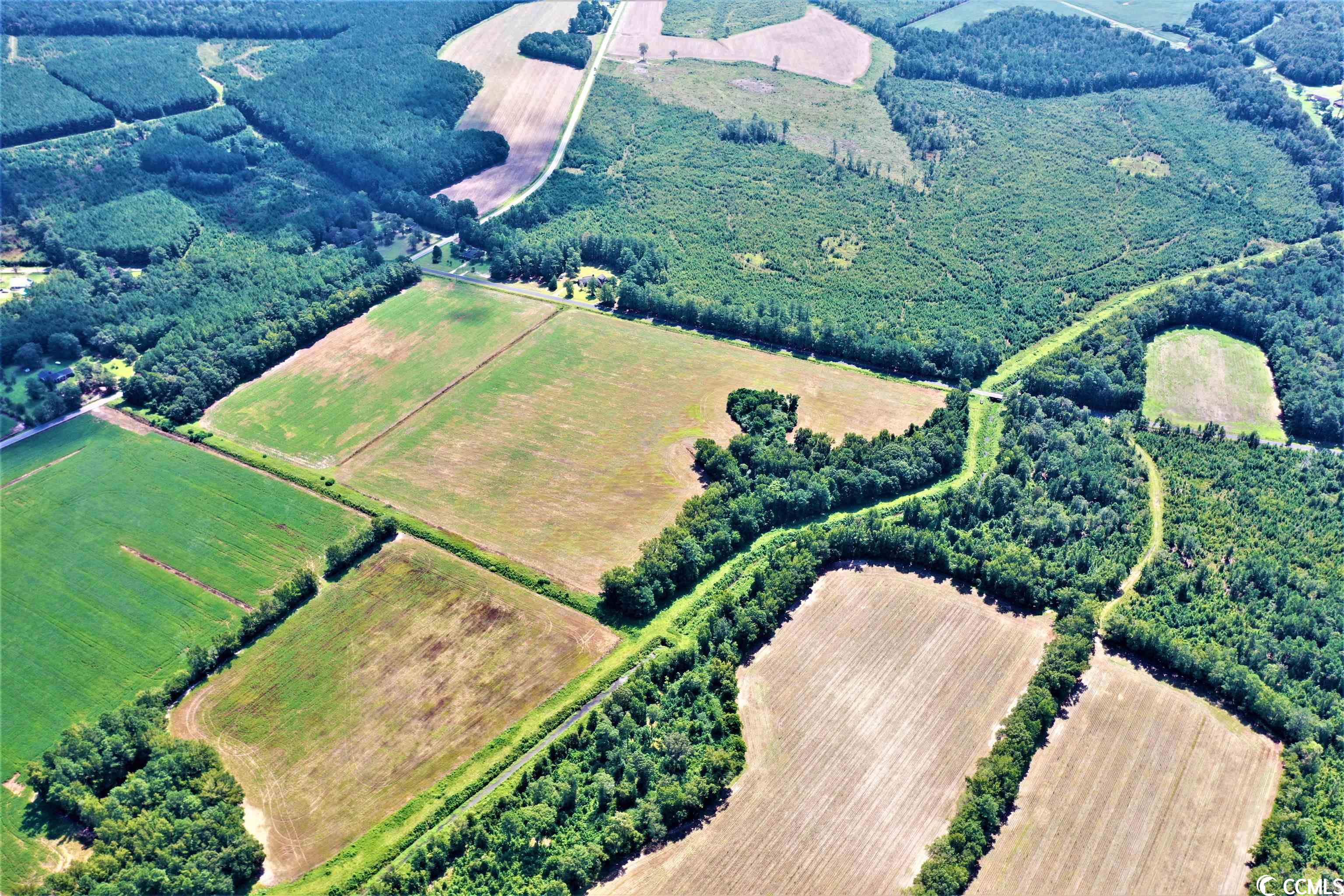 Tbd Old Manning Road Scranton, SC 29591 - Photo 2 of 10