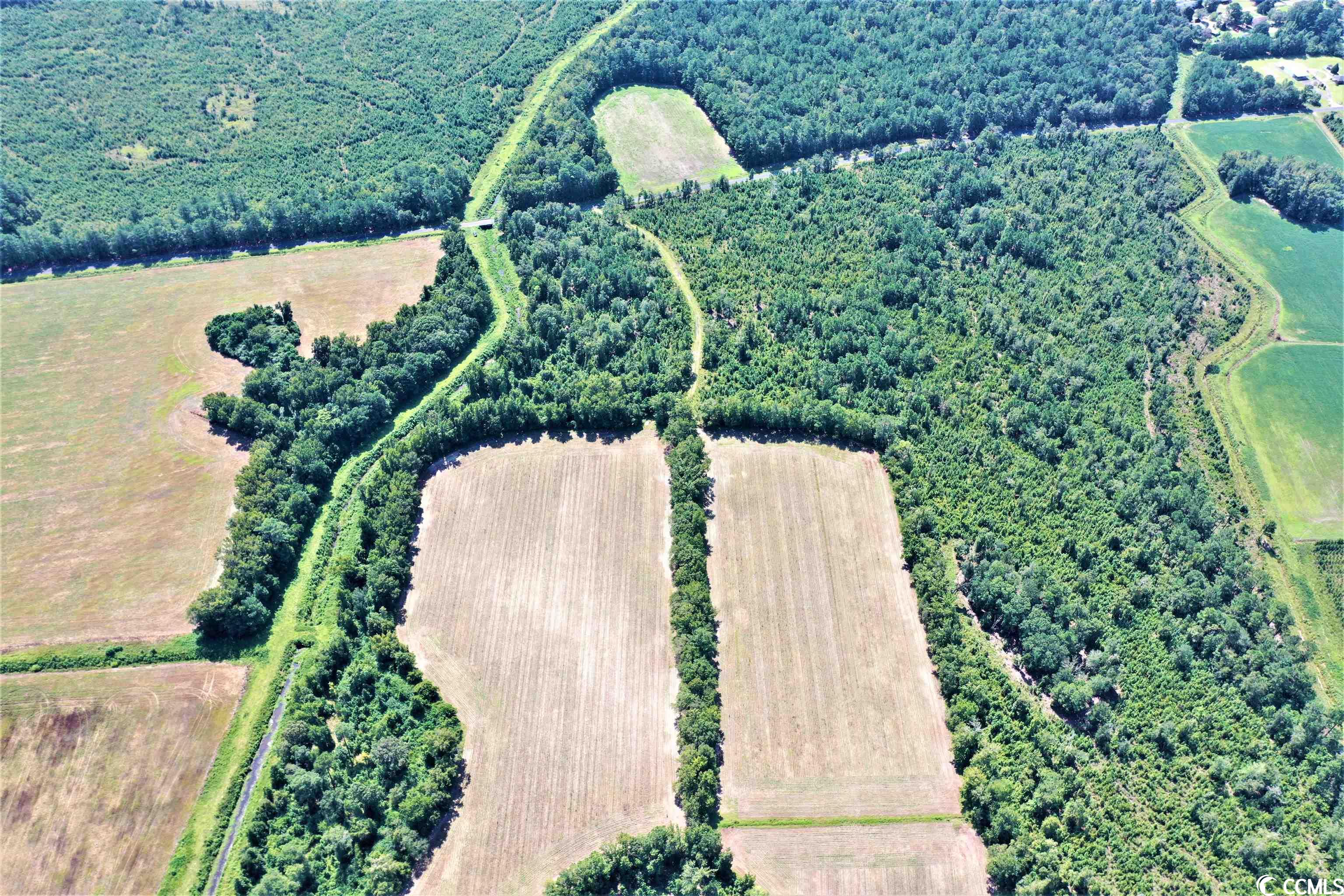 Tbd Old Manning Road Scranton, SC 29591 - Photo 3 of 10