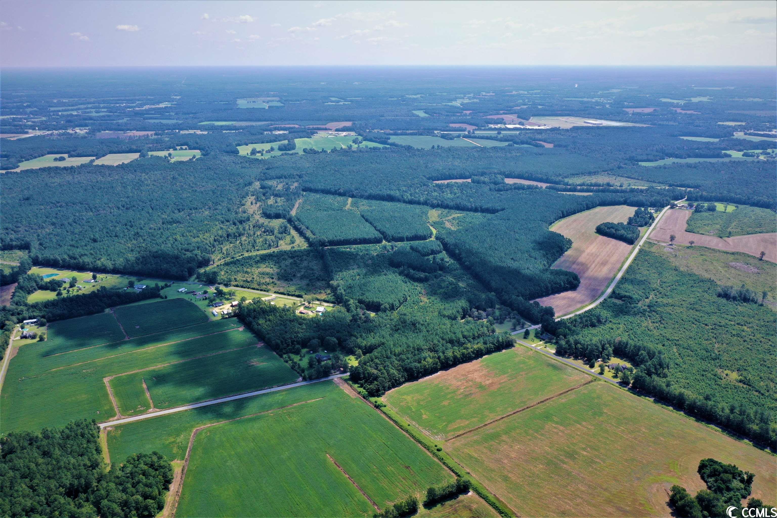 Tbd Old Manning Road Scranton, SC 29591 - Photo 5 of 10
