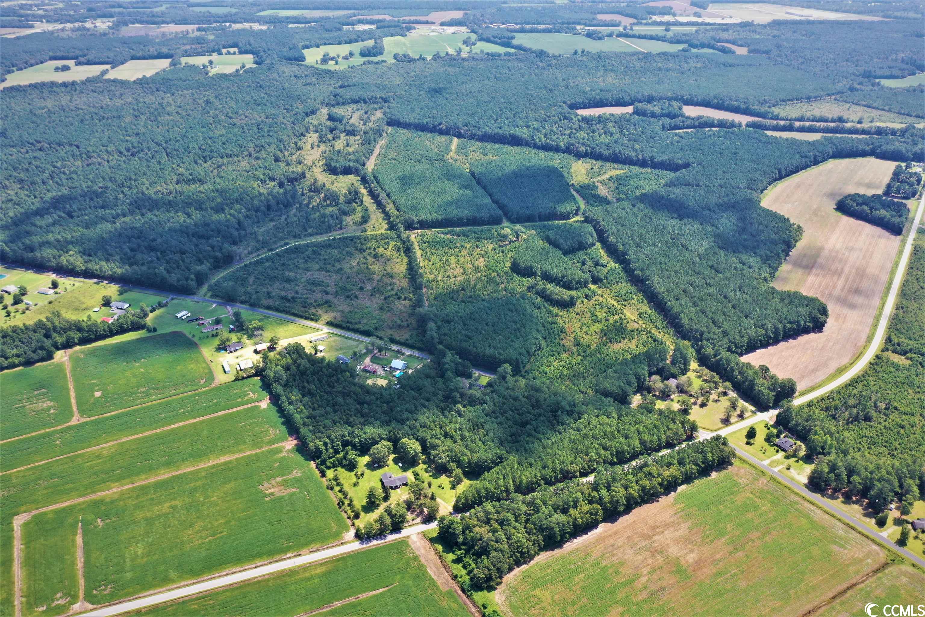 Tbd Old Manning Road Scranton, SC 29591 - Photo 6 of 10