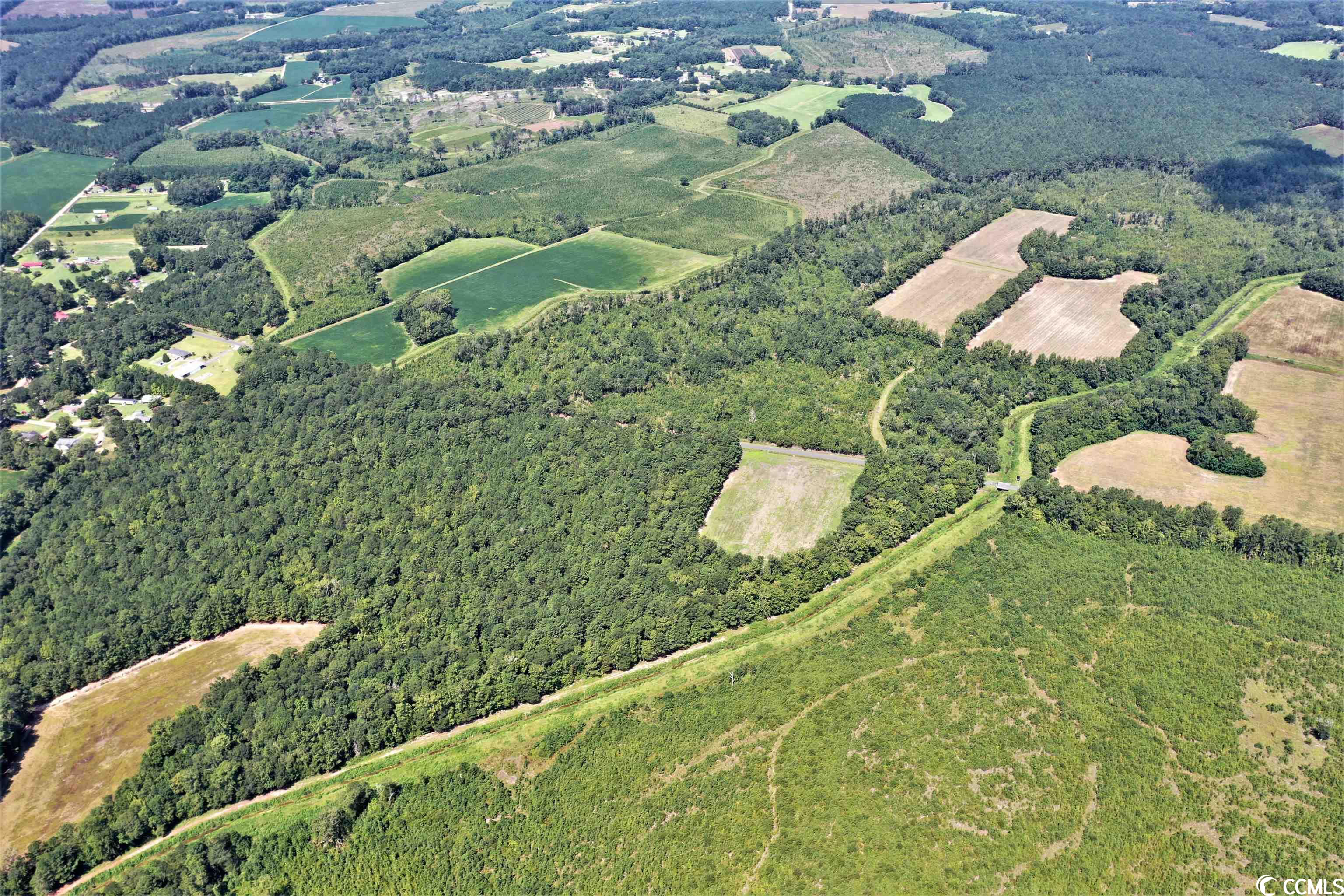Tbd Old Manning Road Scranton, SC 29591 - Photo 9 of 10