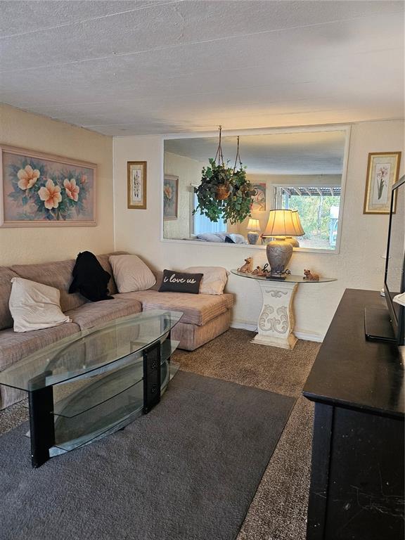 7657 North Caesar Point Dunnellon, FL 34433 - Photo 17 of 20 a living room with furniture and a potted plant