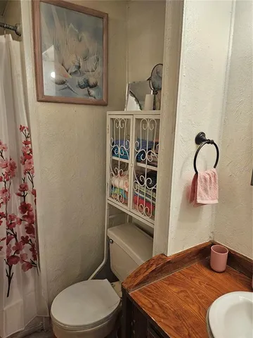 a bathroom with a toilet a sink and shower curtain