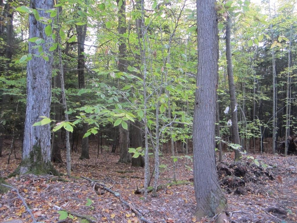 24 Pine Tree Road Litchfield, ME 04350 - Photo 32 of 35 Photo