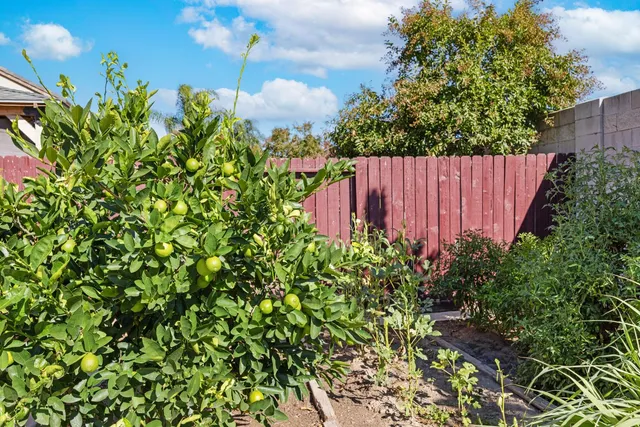 a view of a room with wooden floors and ceiling fan