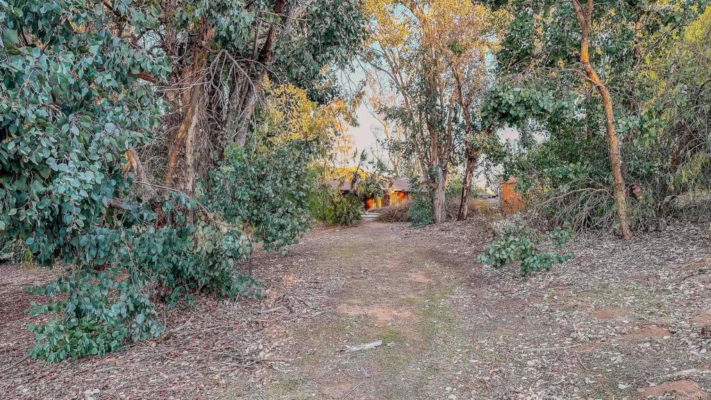 1002 Summer Glen Road Ramona, CA 92065 - Photo 26 of 40 a view of a forest with trees